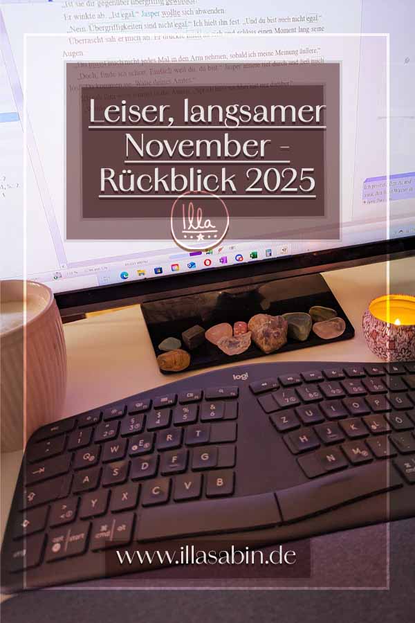 Rückblick November 2025 Blog Illa Sabin