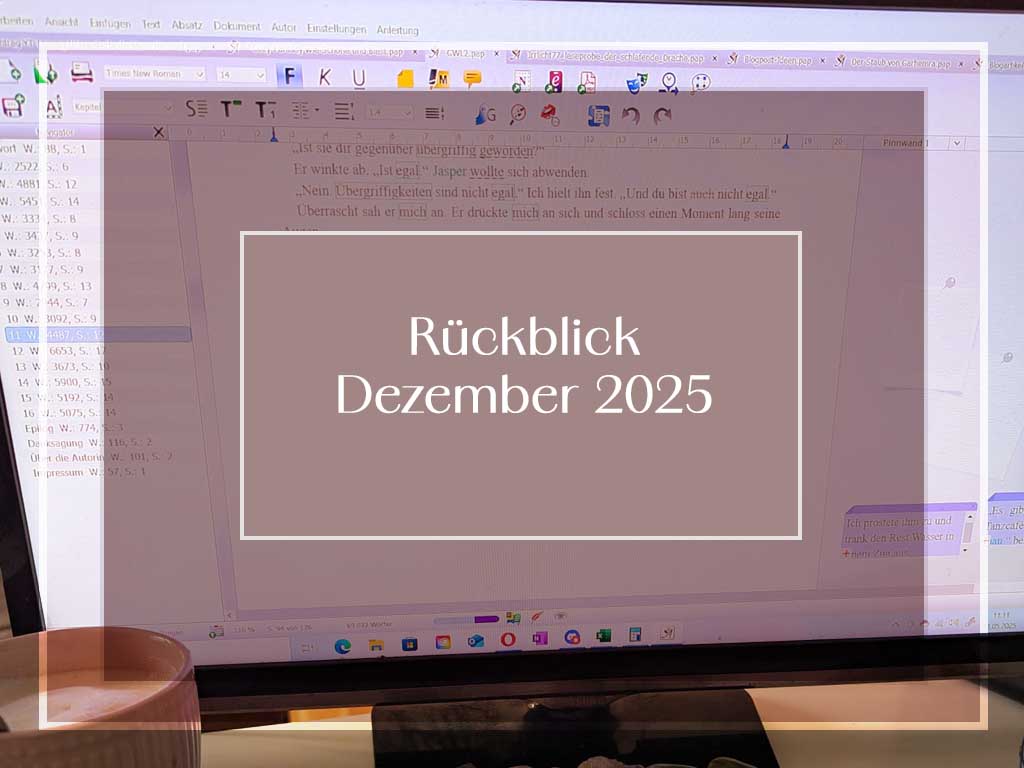 Monatsrückblick Dezember 2025